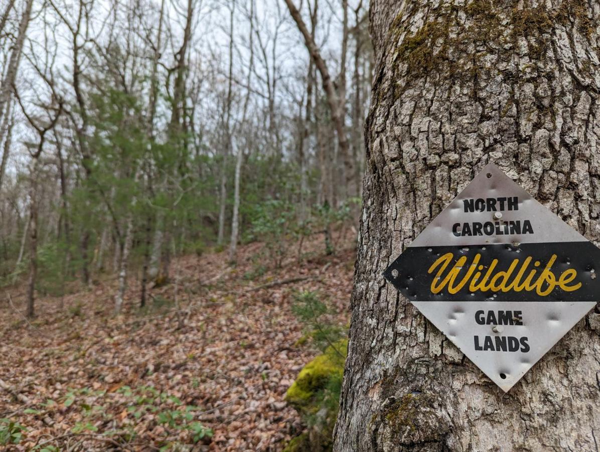 Hidden Hollow Bed And Breakfast Otto Bagian luar foto