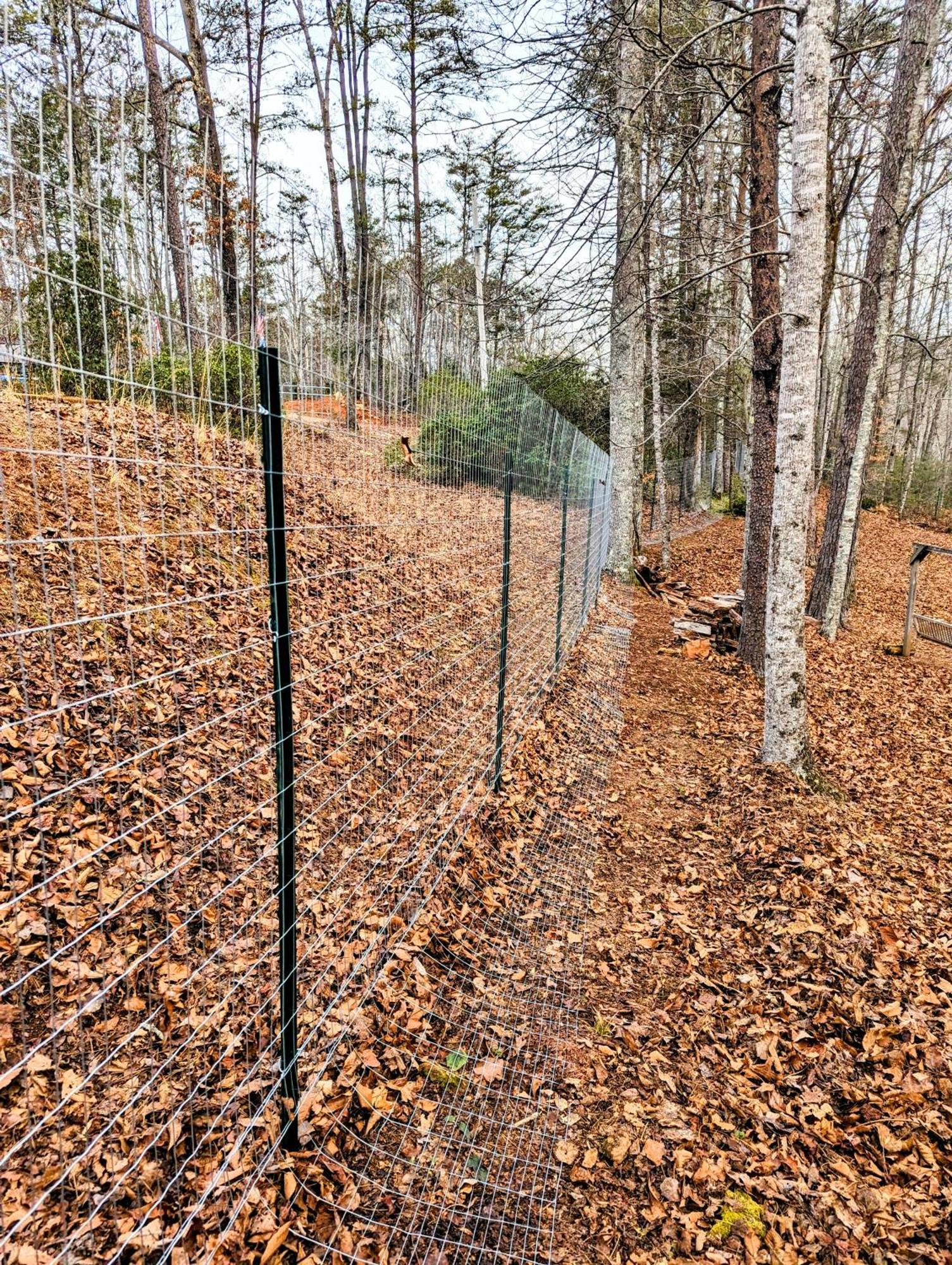 Hidden Hollow Bed And Breakfast Otto Bagian luar foto